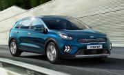 Niro 1099